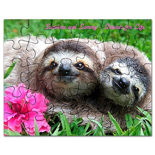 Sloth Photo Jigsaw Puzzles For An Inside Sloth Day