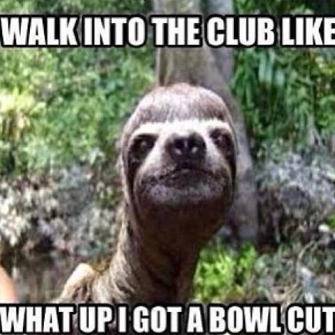 sloth memes do you like