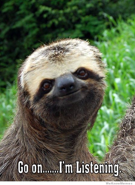 Memes Just Slothing Around